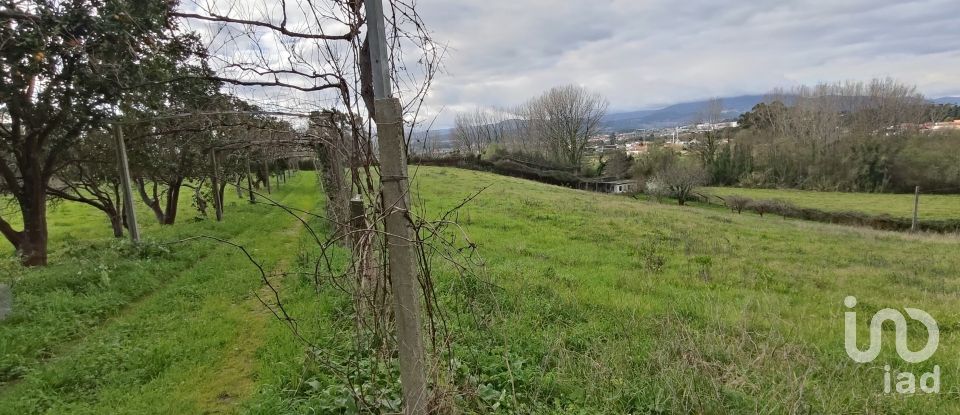 Quinta T6 em Gandra e Taião de 541 m²