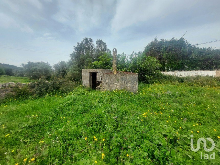 Farm land in Santa Bárbara de Nexe of 3,720 m²