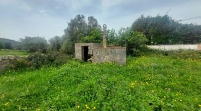 Terrain agricole à Santa Bárbara de Nexe de 3 720 m²