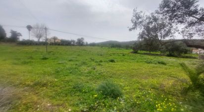 Terrain agricole à Santa Bárbara de Nexe de 3 720 m²