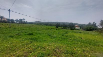 Agricultural land in Santa Bárbara de Nexe of 3,720 m²