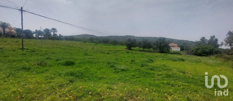 Agricultural land in Santa Bárbara de Nexe of 3,720 m²