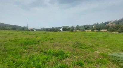 Terrain agricole à Santa Bárbara de Nexe de 3 720 m²