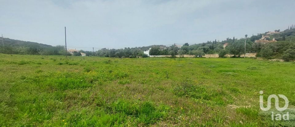 Farm land in Santa Bárbara de Nexe of 3,720 m²