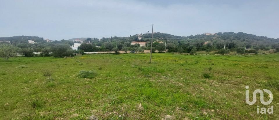 Farm land in Santa Bárbara de Nexe of 3,720 m²