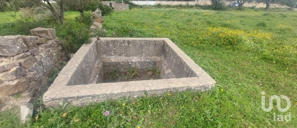 Farm land in Santa Bárbara de Nexe of 3,720 m²