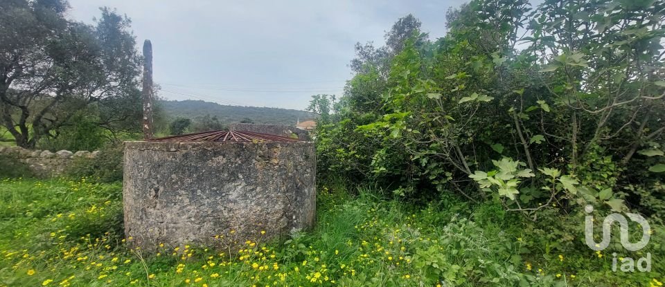 Farm land in Santa Bárbara de Nexe of 3,720 m²