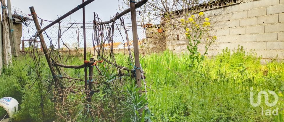 House T1 in Almeida of 43 m²