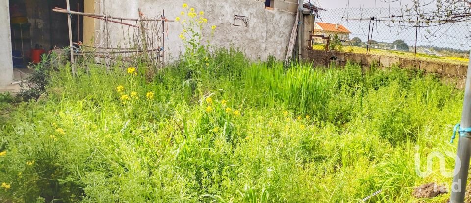 House T1 in Almeida of 43 m²