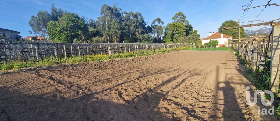 Farm T4 in Santa Marta de Portuzelo of 434 m²