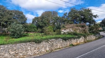 Terrain à Alvados e Alcaria de 1 807 m²