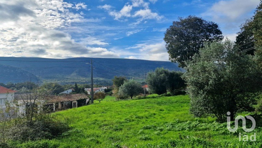 Terrain à Alvados e Alcaria de 1 807 m²