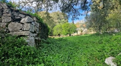 Terrain à Alvados e Alcaria de 1 807 m²