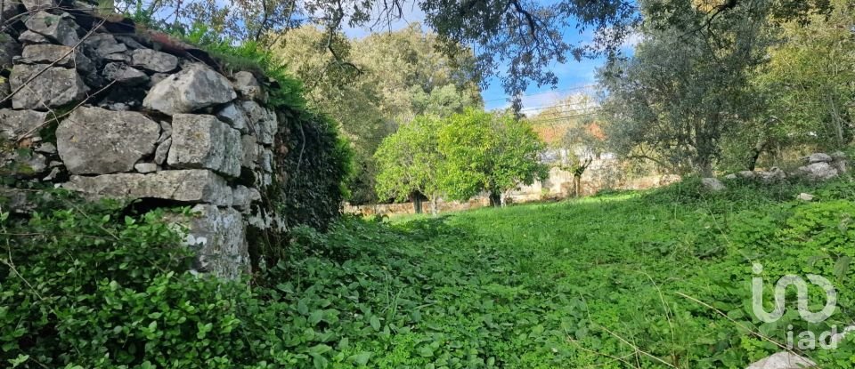 Terrain à Alvados e Alcaria de 1 807 m²