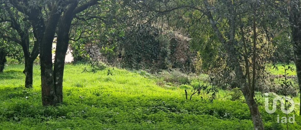 Terrain à Alvados e Alcaria de 1 807 m²