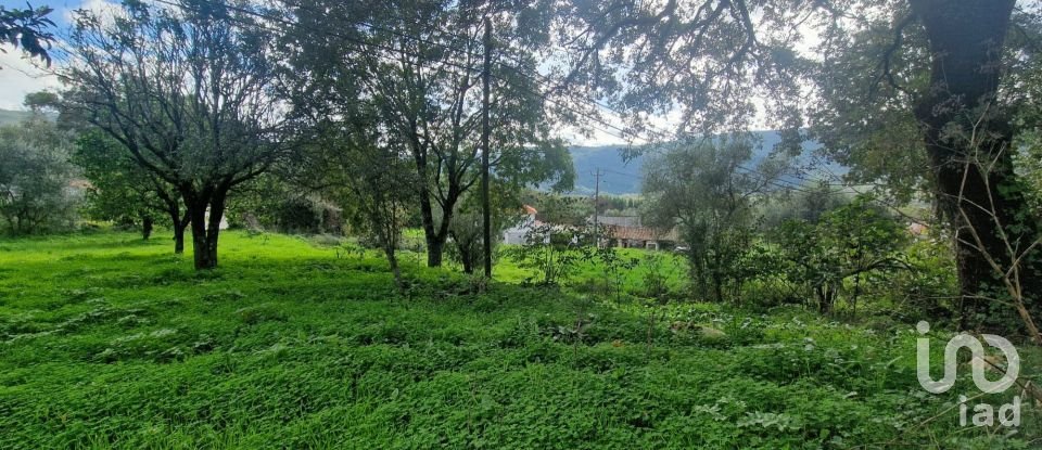 Terrain à Alvados e Alcaria de 1 807 m²