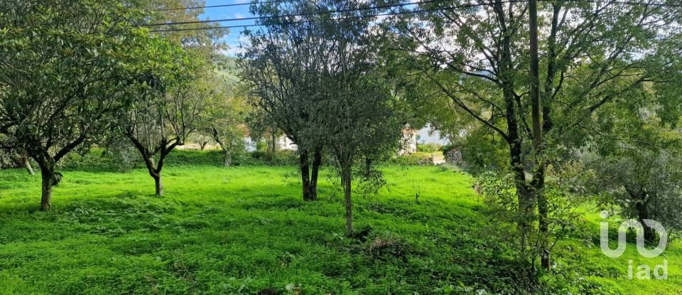 Terrain à Alvados e Alcaria de 1 807 m²