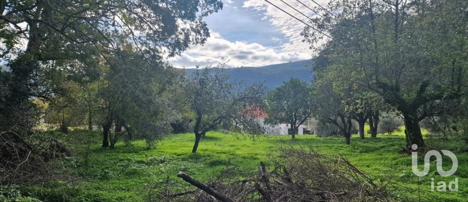 Terrain à Alvados e Alcaria de 1 807 m²