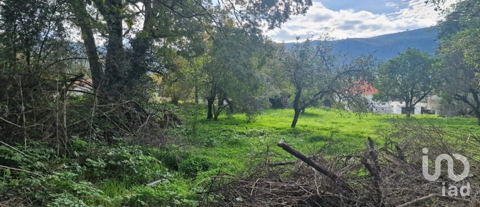 Terrain à Alvados e Alcaria de 1 807 m²