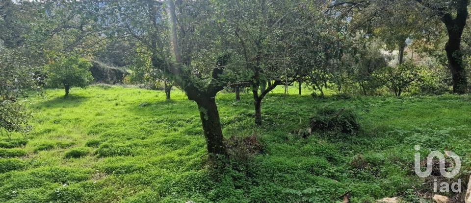 Terrain à Alvados e Alcaria de 1 807 m²