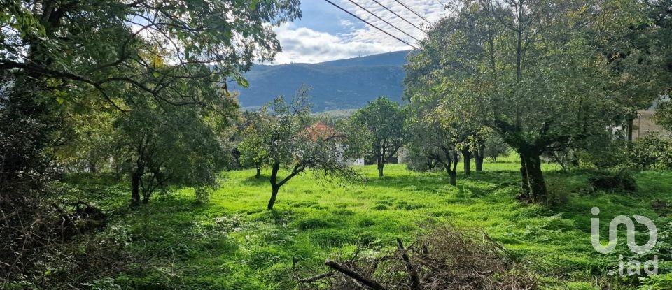 Terrain à Alvados e Alcaria de 1 807 m²