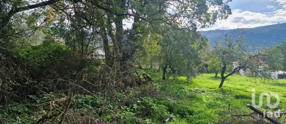 Terrain à Alvados e Alcaria de 1 807 m²