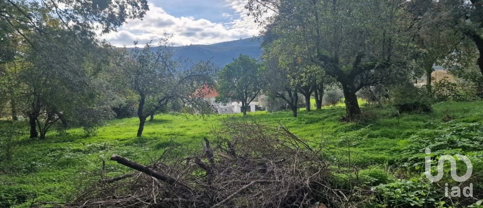 Terrain à Alvados e Alcaria de 1 807 m²