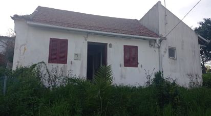 Country home T2 in Lamas e Cercal of 75 m²