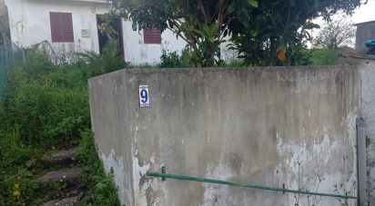 Country home T2 in Lamas e Cercal of 75 m²