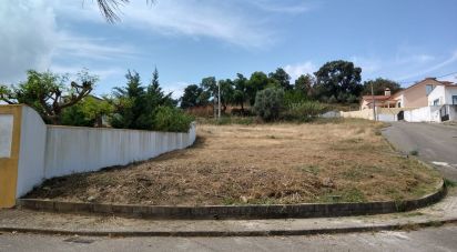 Terrain à bâtir à Chamusca e Pinheiro Grande de 440 m²