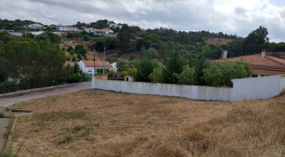 Terrain à bâtir à Chamusca e Pinheiro Grande de 440 m²