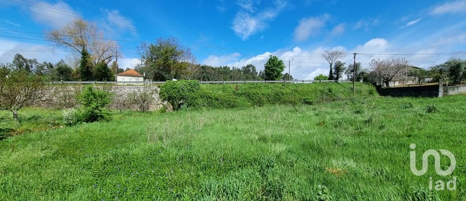 Terreno urbano em Poiares (Santo André) de 1 490 m²