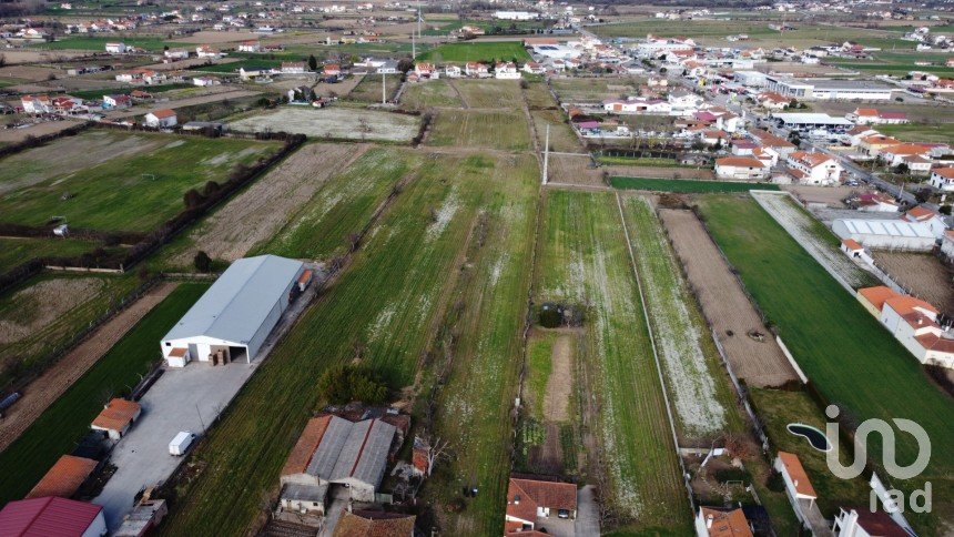 Terreno em Madalena e Samaiões de 23 834 m²