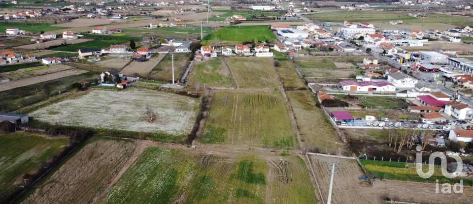 Land in Madalena e Samaiões of 23,834 m²