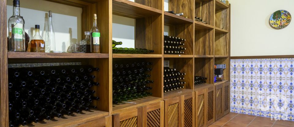 Casa de Campo T4 em Recardães e Espinhel de 299 m²