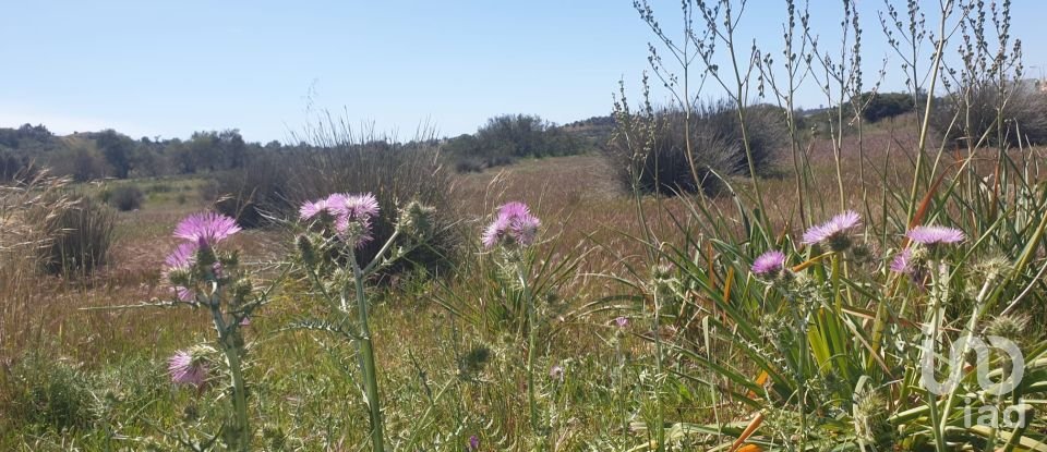 Land in Algoz e Tunes of 12,720 m²