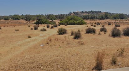 Agricultural land in Algoz e Tunes of 12,720 m²