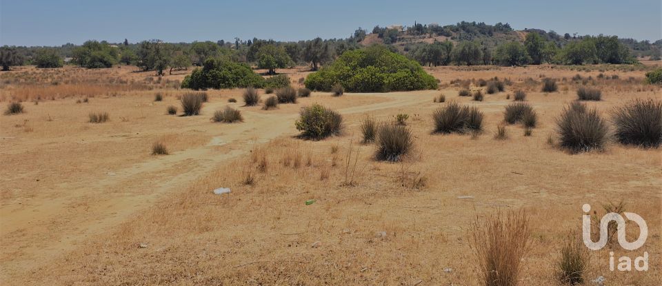 Agricultural land in Algoz e Tunes of 12,720 m²