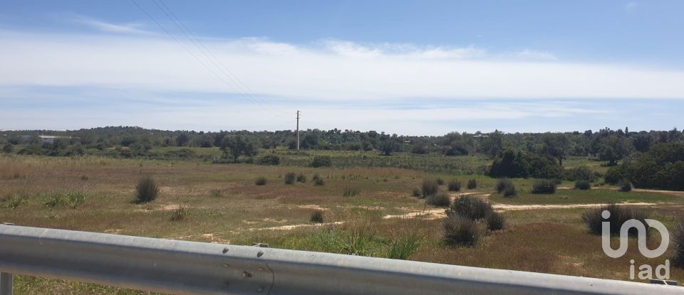 Terrain agricole à Algoz e Tunes de 12 720 m²