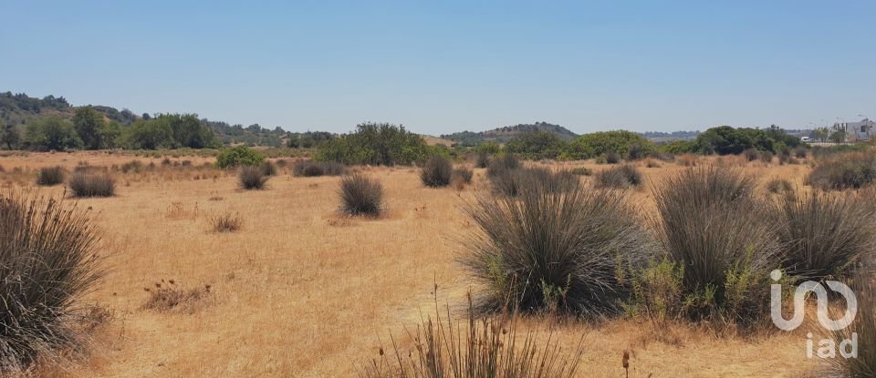 Terreno Agrícola em Algoz e Tunes de 12 720 m²