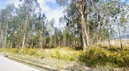 Surface diverse à Cerdal de 7 690 m²