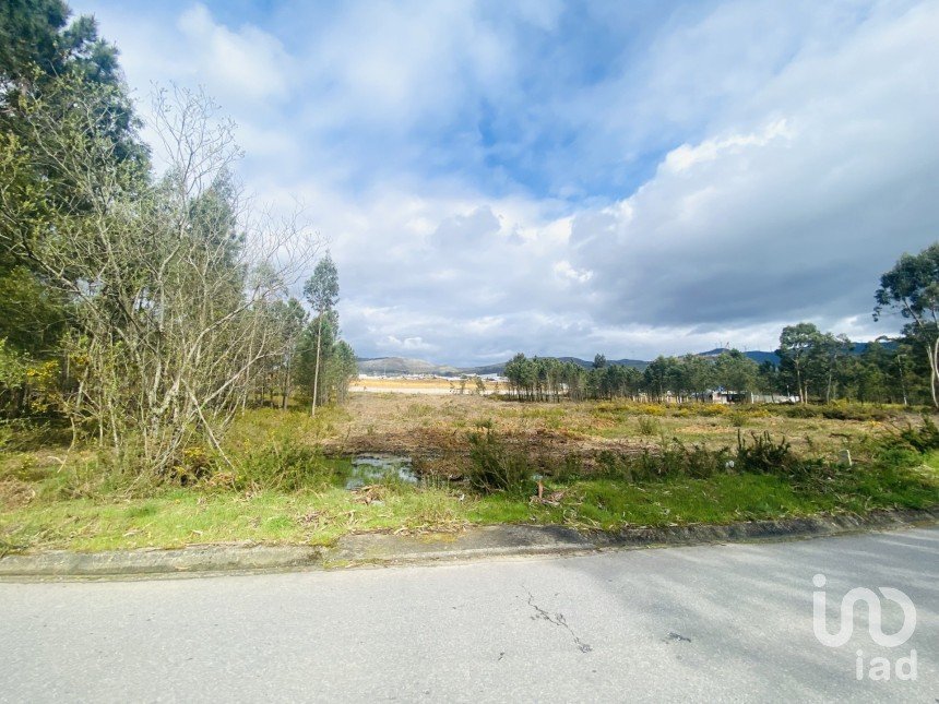Land in Cerdal of 7,690 m²