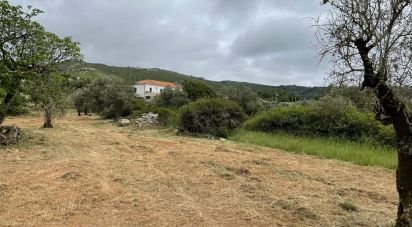 Land in Alvados e Alcaria of 5,200 m²