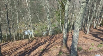 Terrain à bâtir à Campelo e Ovil de 13 110 m²