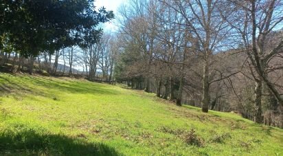 Building land in Campelo e Ovil of 9,860 m²