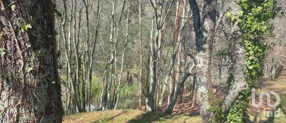 Terrain à bâtir à Campelo e Ovil de 13 110 m²