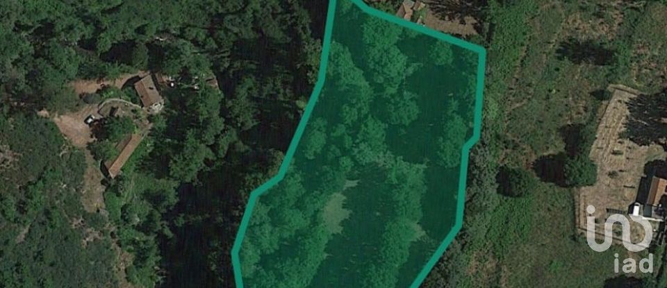 Terrain à bâtir à Campelo e Ovil de 13 110 m²