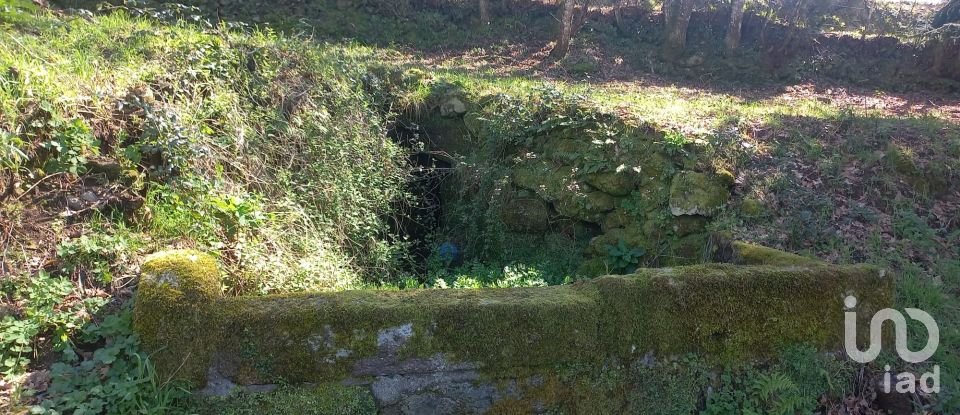 Terrain à bâtir à Campelo e Ovil de 13 110 m²