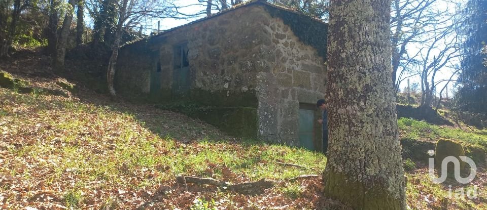 Terrain à bâtir à Campelo e Ovil de 13 110 m²