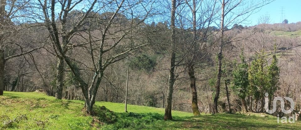 Terrain à bâtir à Campelo e Ovil de 13 110 m²